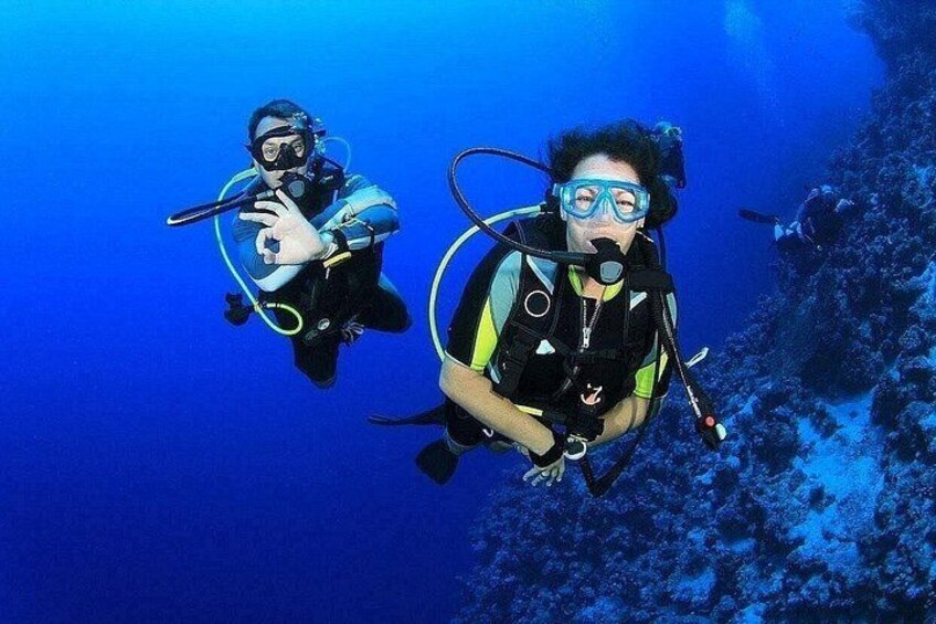 Two scuba divers underwater with coral formations in the background. 1