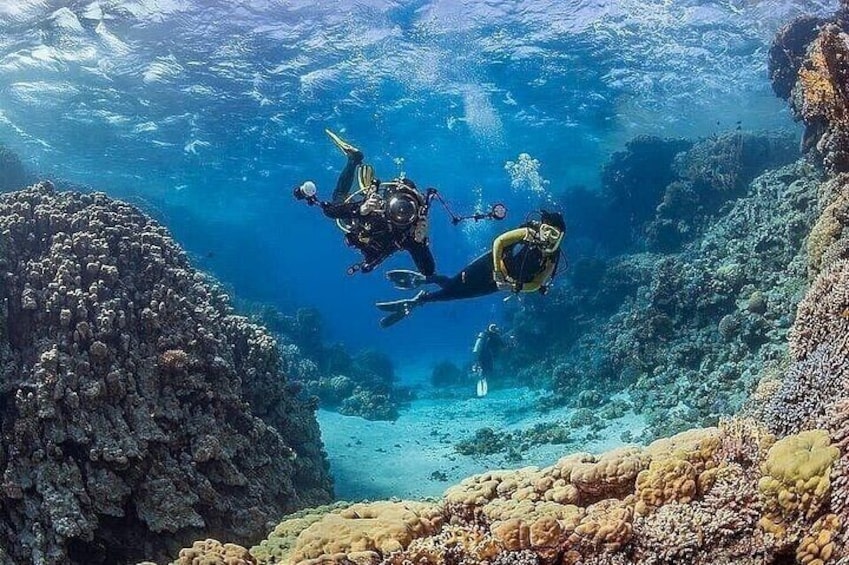 Two divers exploring a coral reef with vibrant marine life and underwater formations. 5