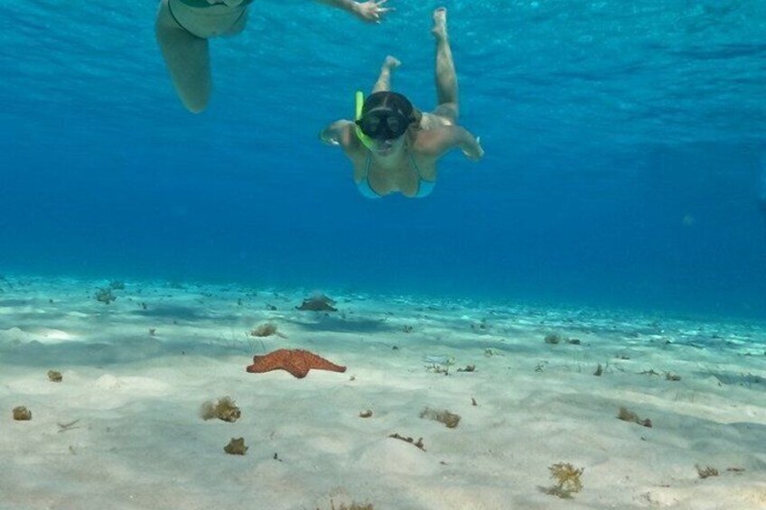 Cozumel Reefs and El Cielo Catamaran Tour with Slide 4