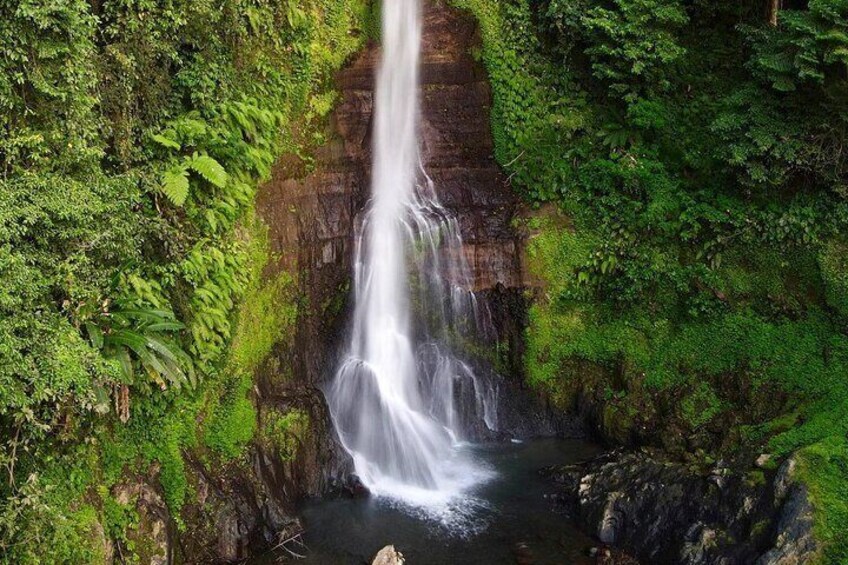 All inclusive Lovina Dolphins Sunrise tour, Waterfall & Temple 5