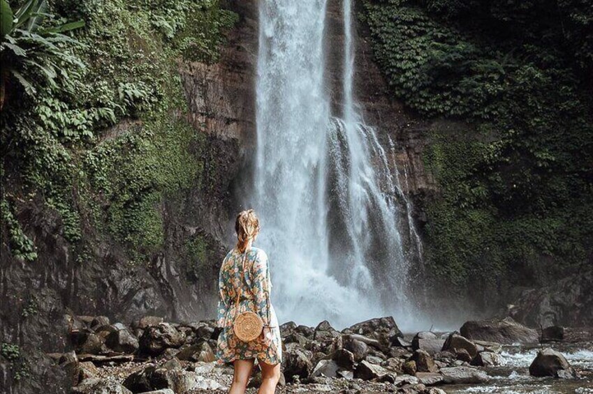 All inclusive Lovina Dolphins Sunrise tour, Waterfall & Temple 4