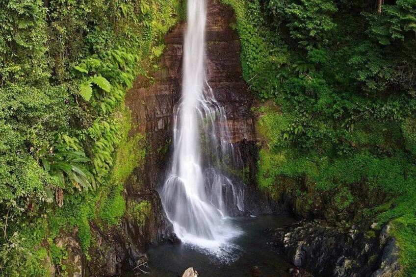 All inclusive Lovina Dolphins Sunrise tour, Waterfall & Temple 5