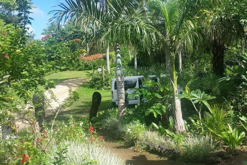 A white vehicle parked in a lush garden with a variety of tropical plants and a dirt path. 2