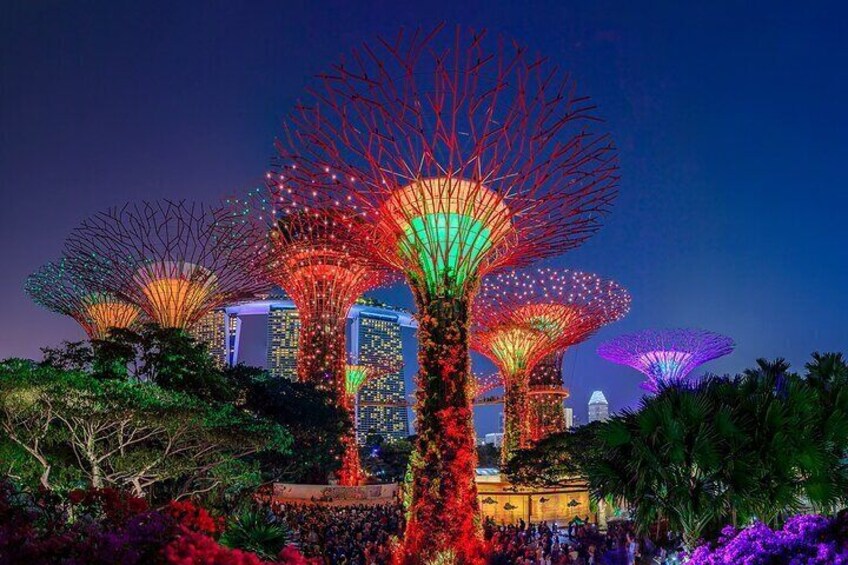 Night City Cruise Wonders & Two Light Shows 3