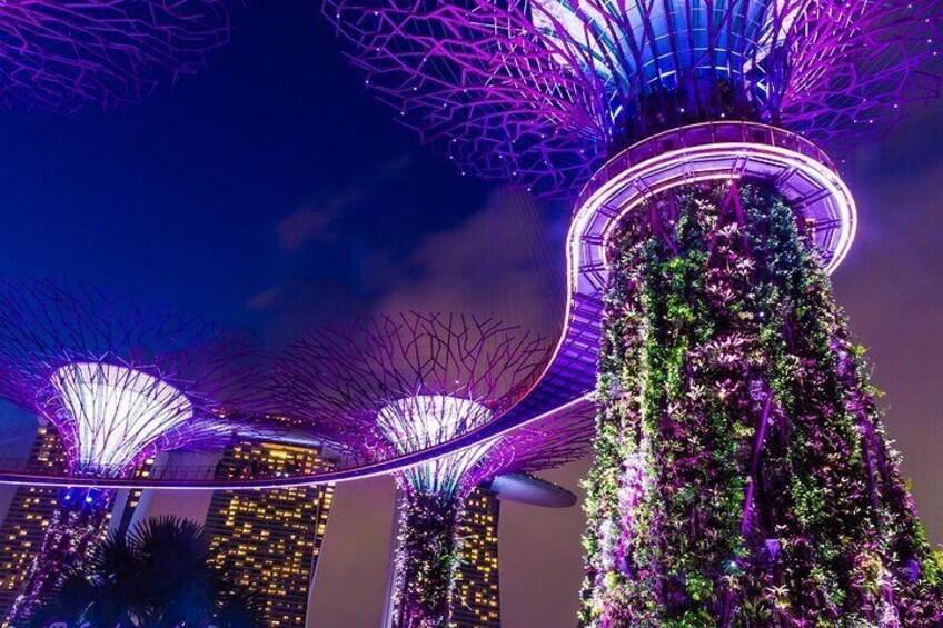 Night City Cruise Wonders & Two Light Shows 4