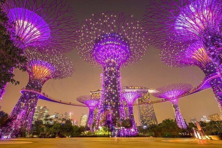 Illuminated trees with a cityscape in the background. 2