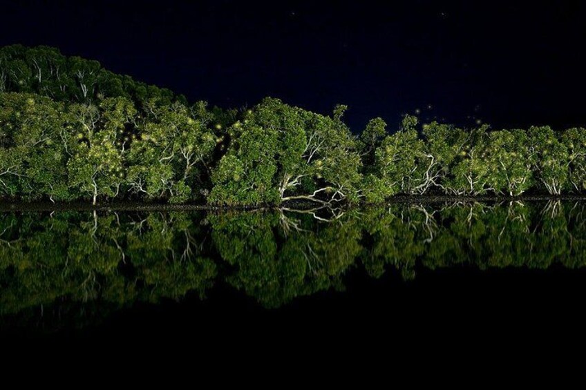 A nighttime landscape with a dense forest reflected in calm water. 1