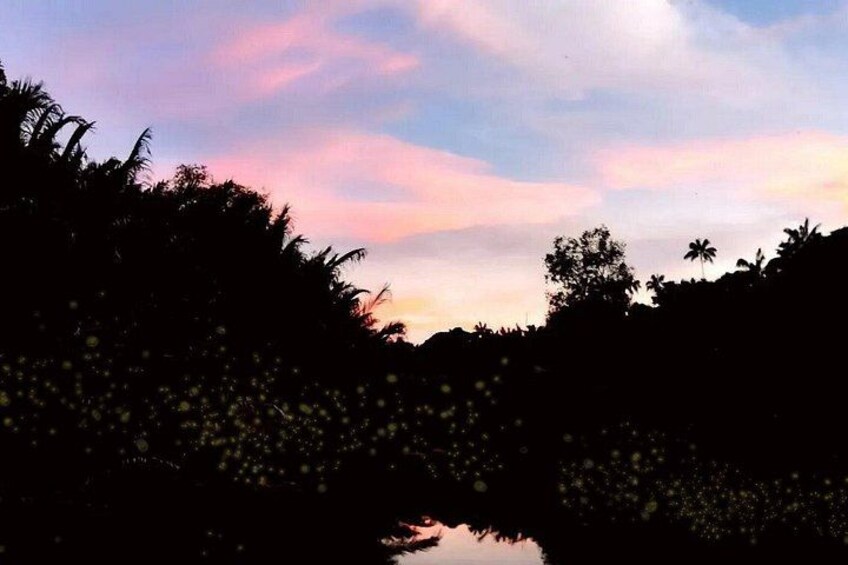A sunset over a river with silhouettes of trees and palm trees. 5