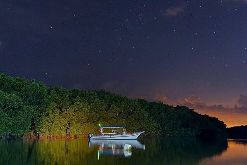 A boat on calm water with a starry night sky and a forested shoreline. 2