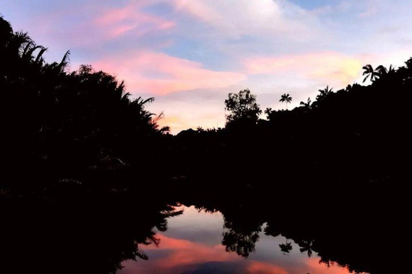 A sunset over a calm body of water with silhouettes of trees and palm trees against a colorful sky. 2