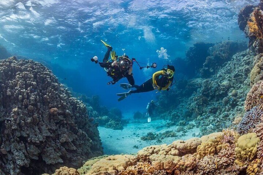 Alanya Scuba Diving and Snorkeling Trip 5