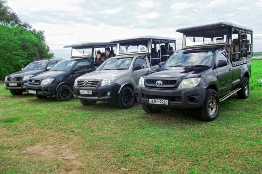 Special Yala safari from Hambanttota port Yala Nisha safari 1