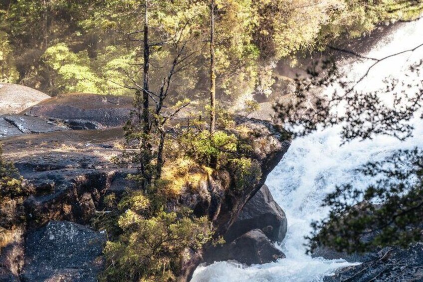 Puerto Blest and Frías Lake + Falls in Patagonia Hidden Gems Tour 4