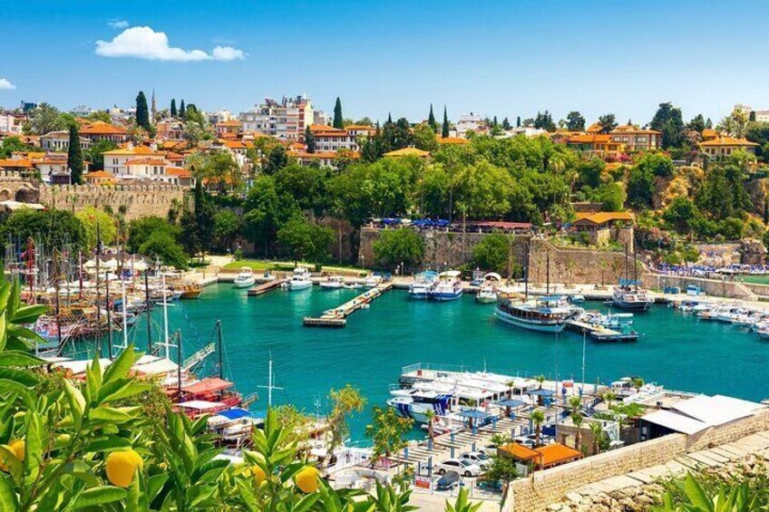A harbor with boats, a town in the background, and greenery. 4