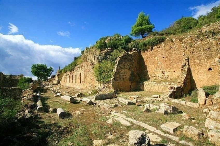 Ancient ruins with stone walls and columns, surrounded by grass and trees. 4