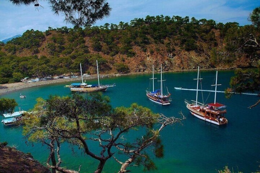 A coastal scene with several sailboats anchored in calm waters, surrounded by dense forest and a clear sky. 1