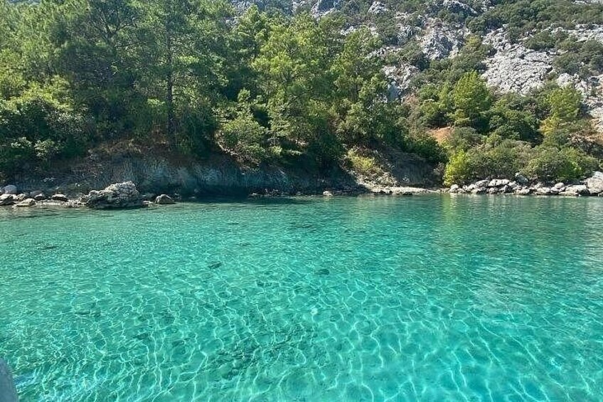 A clear turquoise sea with rocky shores and dense green foliage. 3