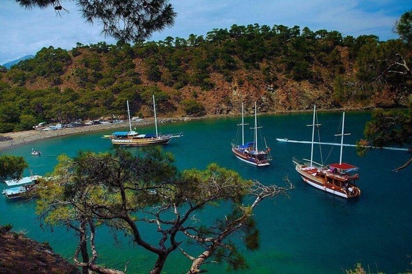 A coastal scene with several sailboats anchored near a beach, surrounded by dense forest. 1