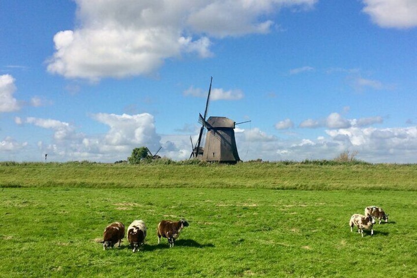 Amsterdam Private Tour Off the Beaten Path 1