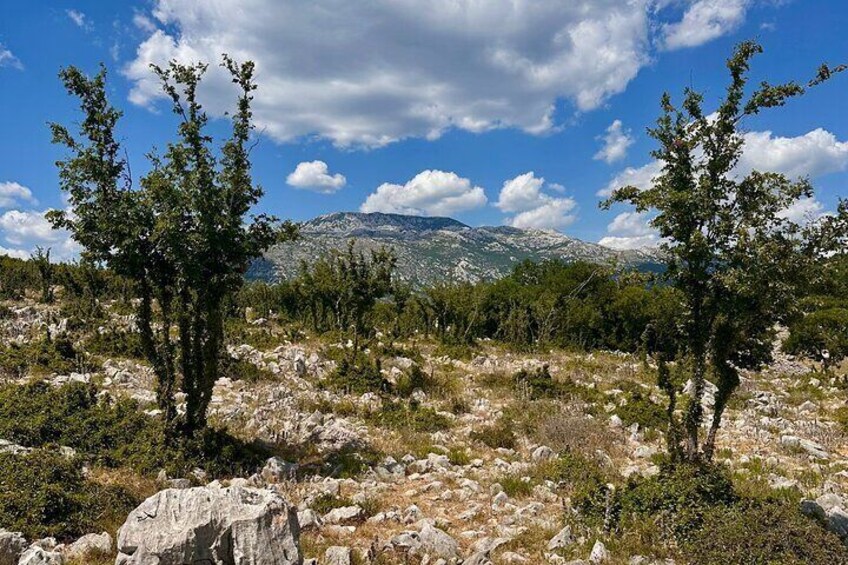 Private Tour : Guided hike along the Krupa River 3