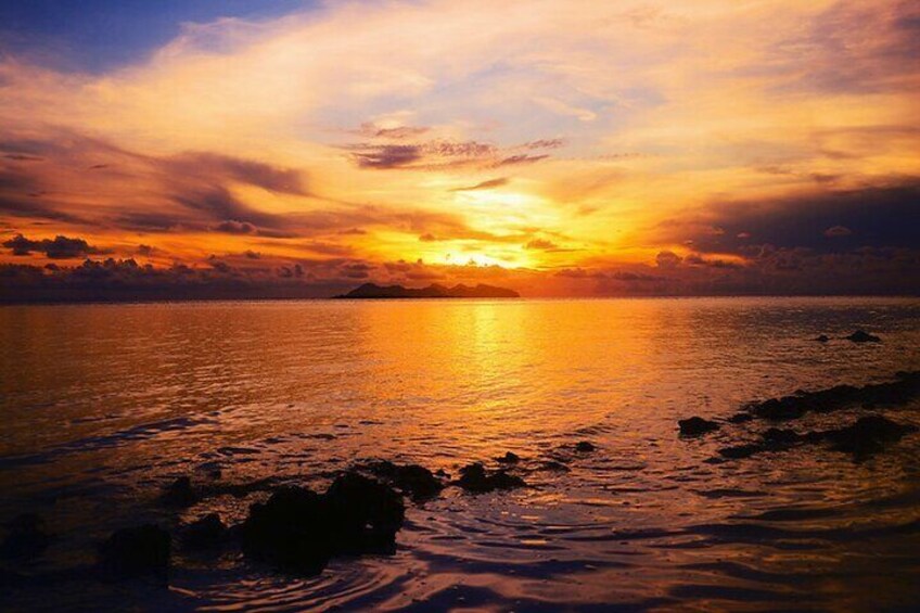 Kota Kinabalu: Bongawan River Cruise, City Tour & Fireflies 4