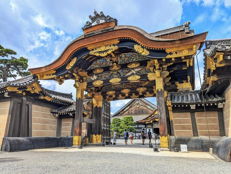 From Osaka: Kyoto Tour: Nijo, Bamboo Grove & Fushimi Inari (EN/ES) 2