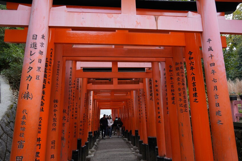 From Osaka: Kyoto Tour: Nijo, Bamboo Grove & Fushimi Inari (EN/ES) 4
