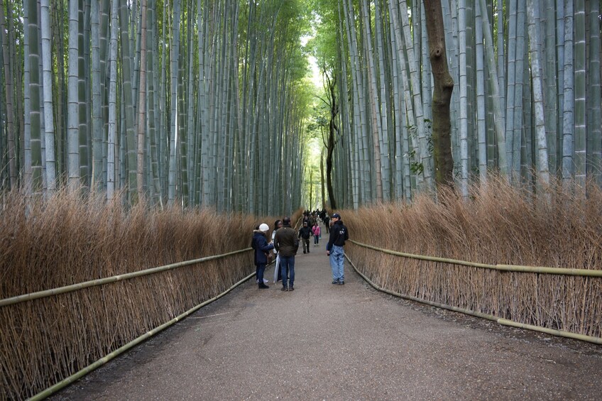 From Osaka: Kyoto Tour: Nijo, Bamboo Grove & Fushimi Inari (EN/ES) 1