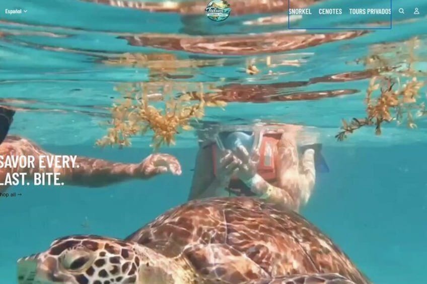 Turtle Snorkeling in Tulum 2