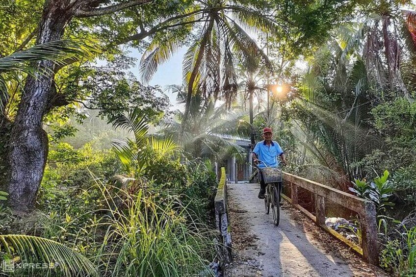 A person riding a bicycle on a narrow path surrounded by dense tropical vegetation. 4