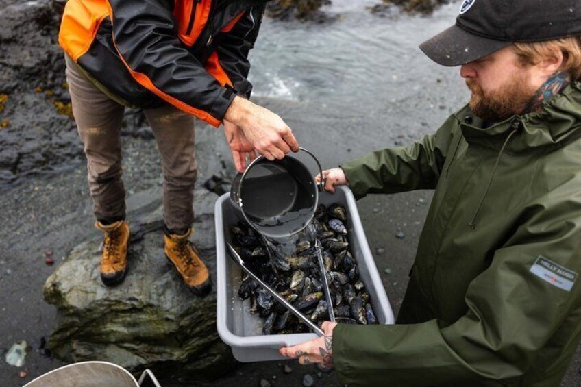Canadian Mussel Boil at the Ecological Reserve 4