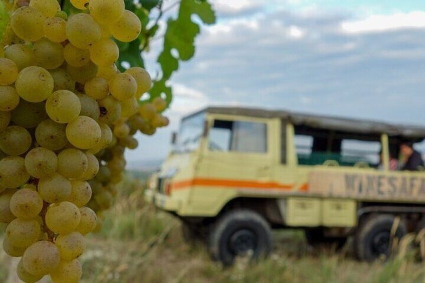 Slovak Private Wine Safari Tour 4