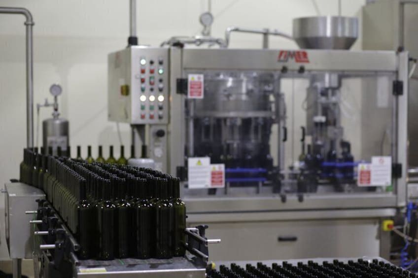 Guided Winery Visit and Wine Tasting at Ornella Bellia 4