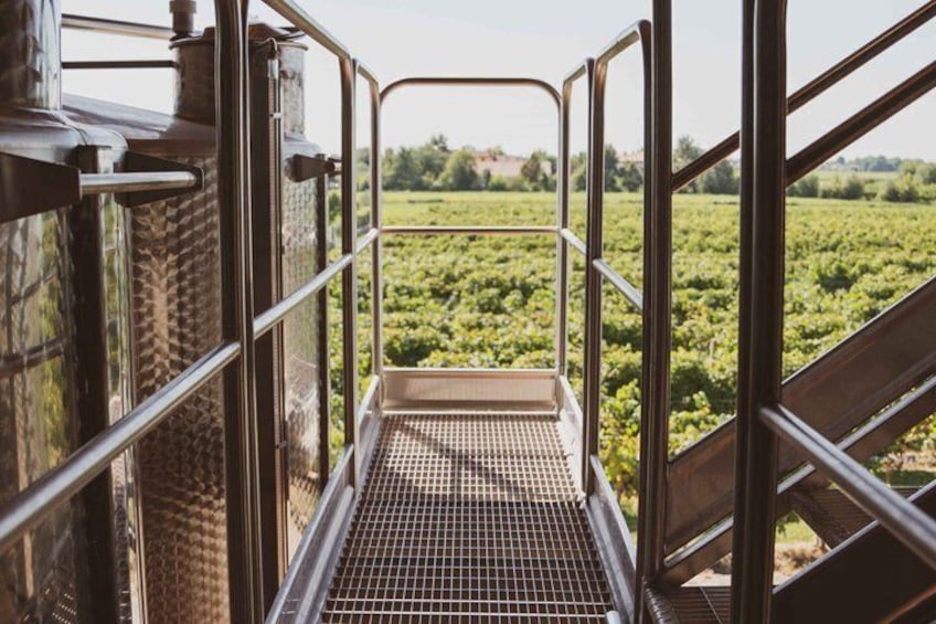 Guided Winery Visit and Wine Tasting at Ornella Bellia 3