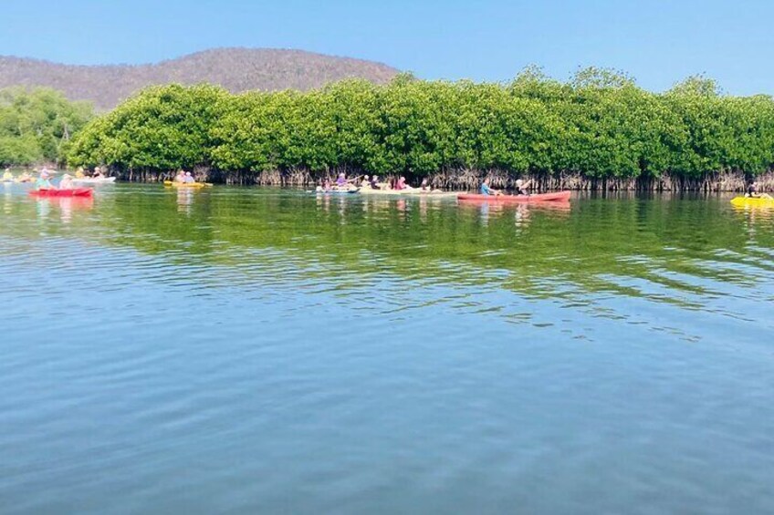 Calm water with kayaks and a forested area in the background. 4