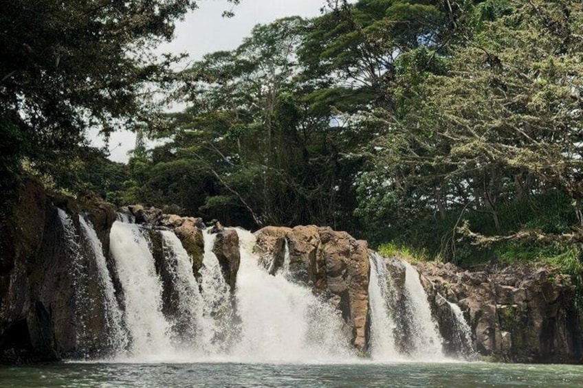 Kipu Falls and Treehouse Hiking Experience in Kauai 4