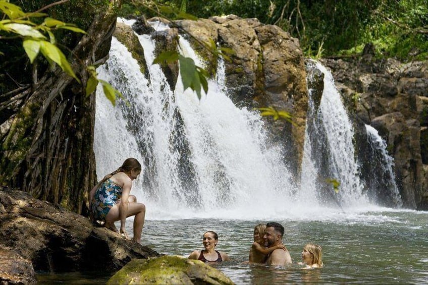 Kipu Falls and Treehouse Hiking Experience in Kauai 1