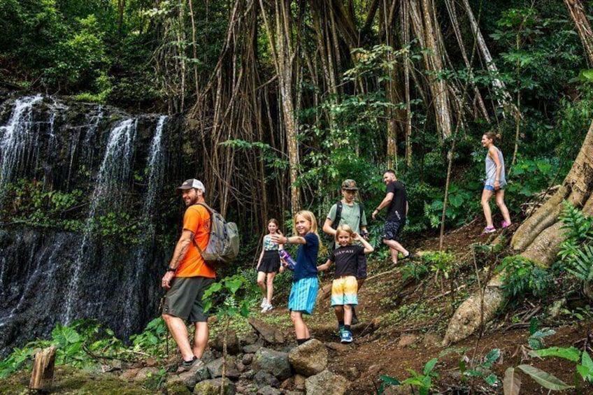 Kipu Falls and Treehouse Hiking Experience in Kauai 5