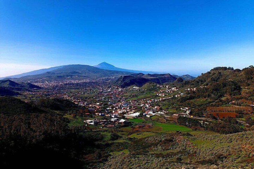 Premium Tour Hiking Anaga, Punta Hidalgo and Cruz del Carmen 5