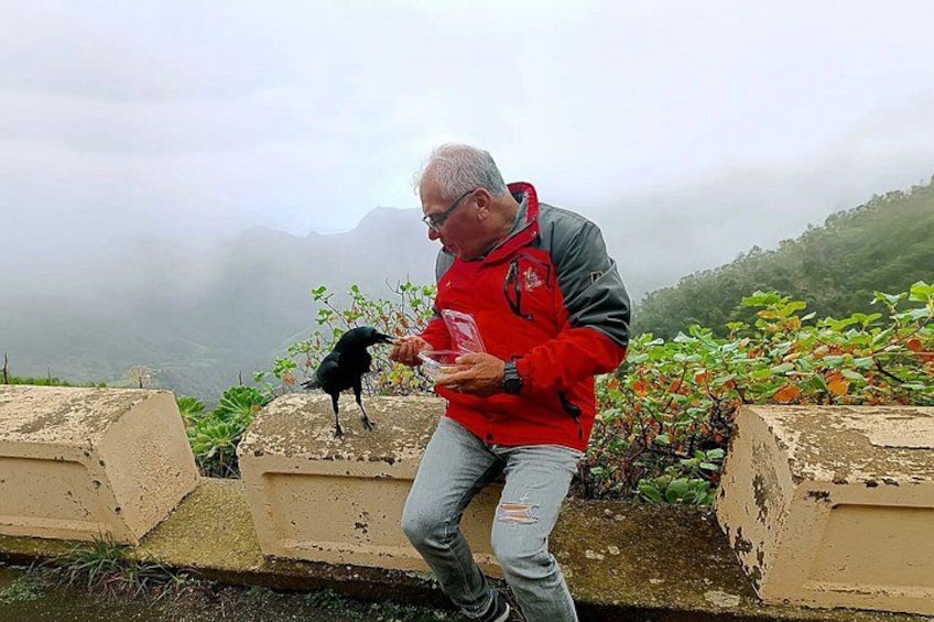 A man in a red jacket feeding a black bird on a ledge with greenery and mountains in the background. 4