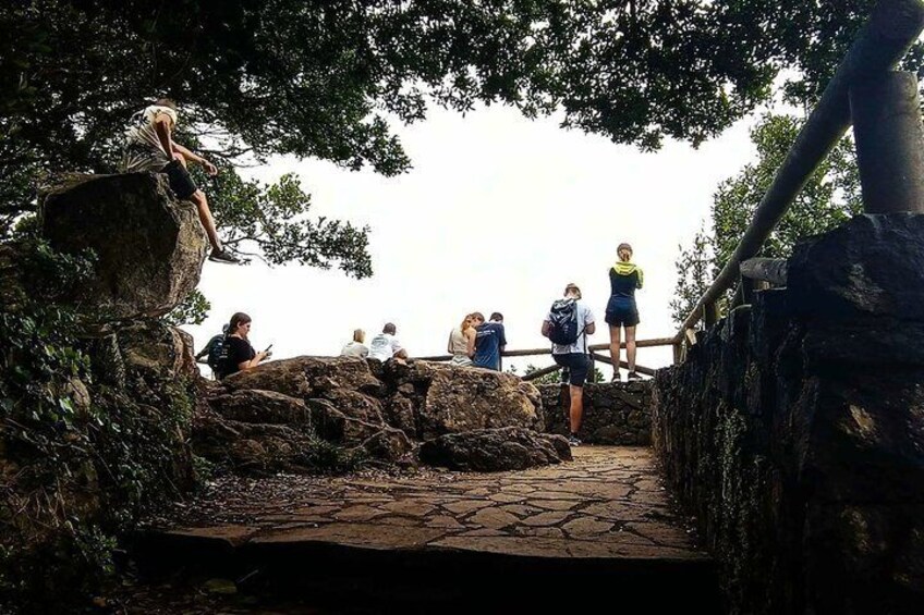 Premium Tour Hiking Anaga, Punta Hidalgo and Cruz del Carmen 4