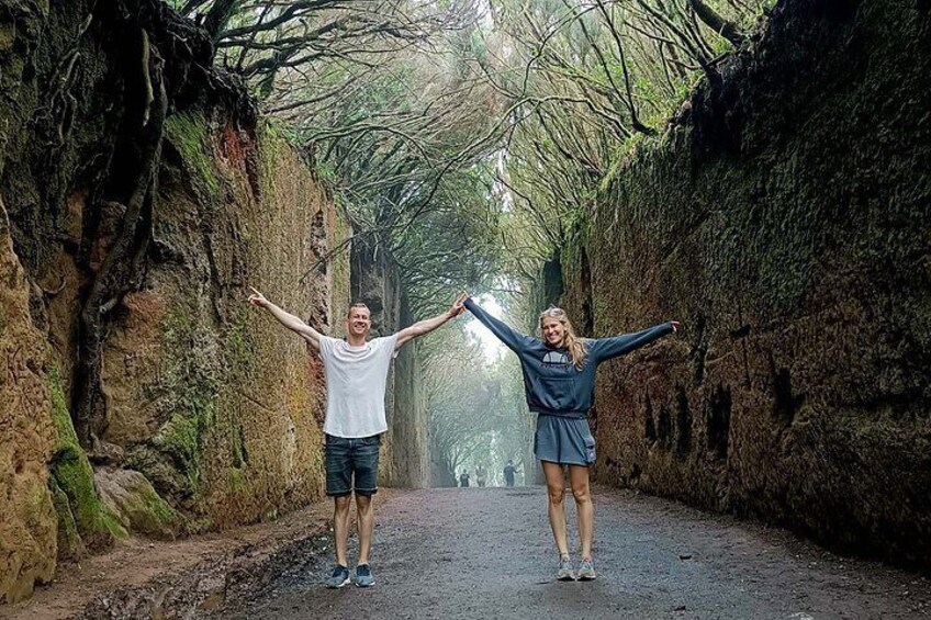 Two people standing on a path surrounded by moss-covered rocks and trees. 5