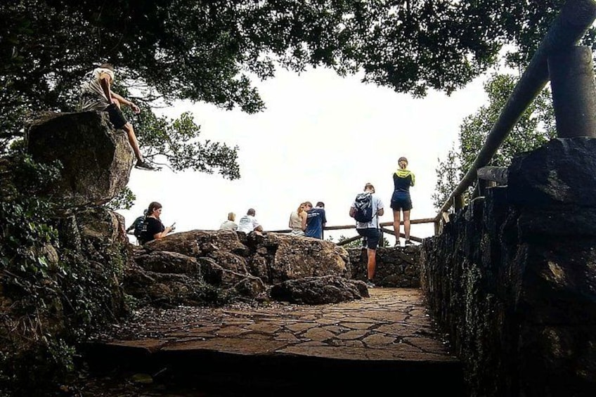 A stone pathway with people walking and standing, surrounded by trees and rocks. 3