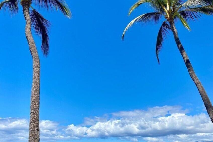 Maui Private Surf Retreat Professional Coaching 3