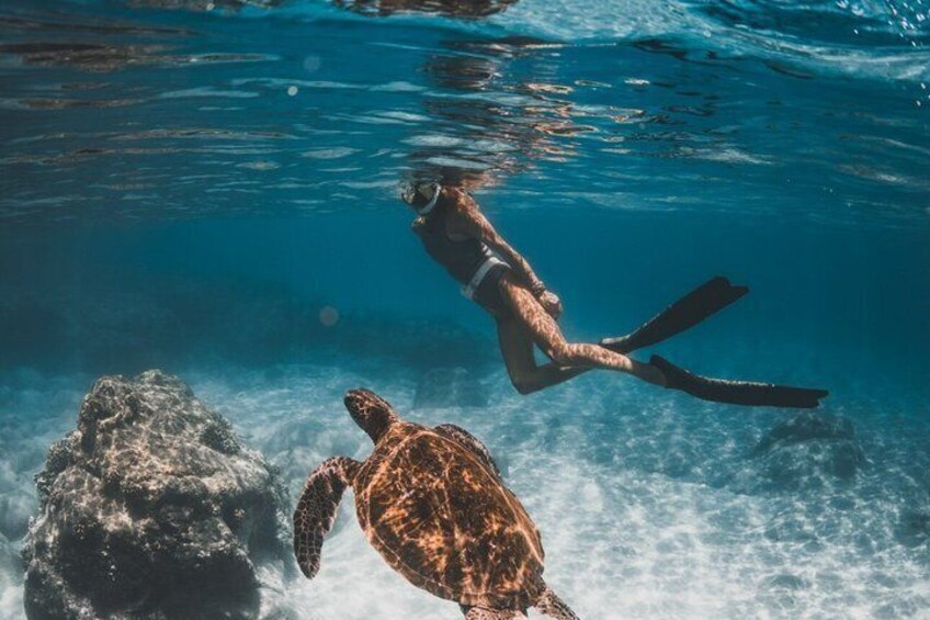 Maui Private Surf Retreat Professional Coaching 4