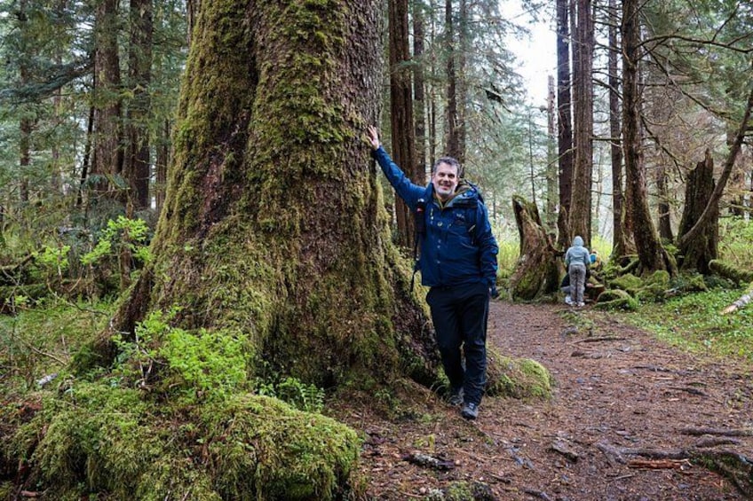 A person standing next to a large moss-covered tree on a forest trail. 1