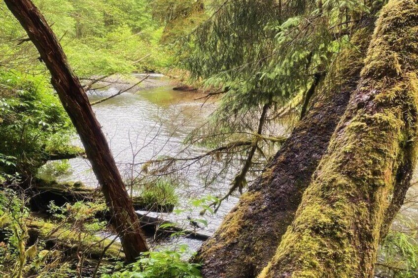 Private Guided Hiking Tours in Sitka, Alaska 3