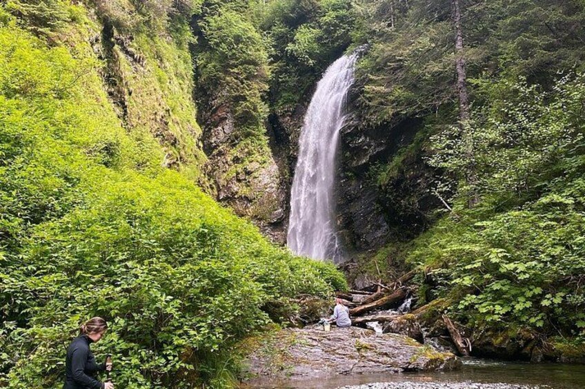 A waterfall in a lush green forest. 3