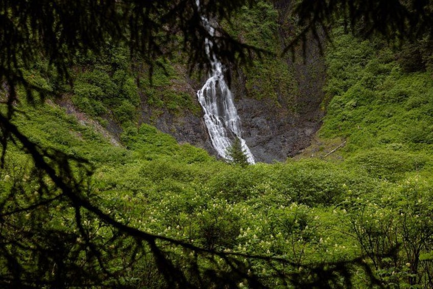 A waterfall surrounded by lush greenery. 4