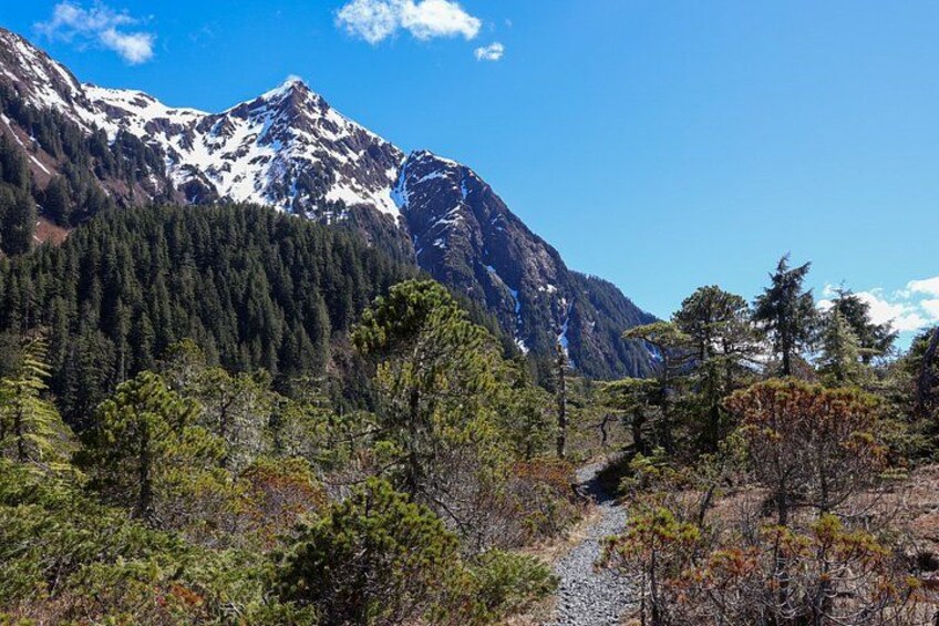 Private Guided Hiking Tours in Sitka, Alaska 5